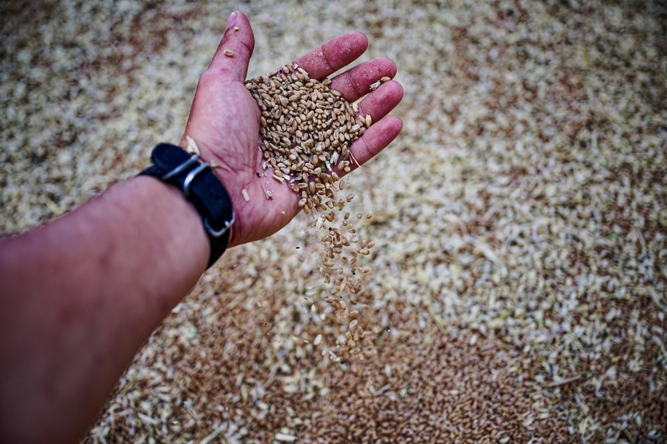    Планируется создание примерно 20 рабочих мест. Иван МАКЕЕВ