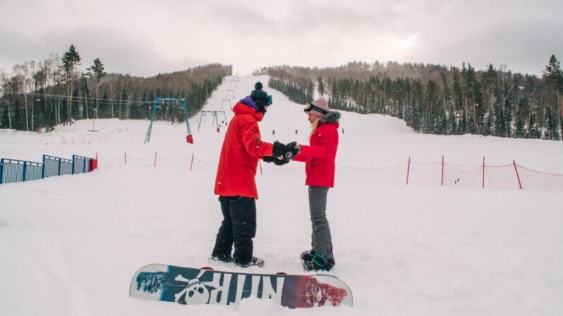     "Мишина гора". Ирина Пергаева.