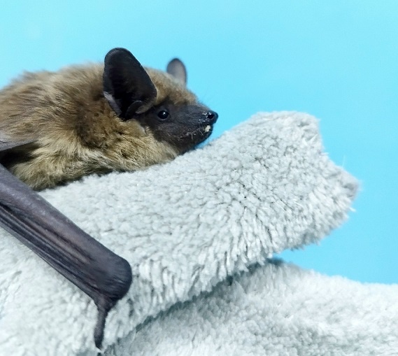     Фото: https://vk.com/nature36