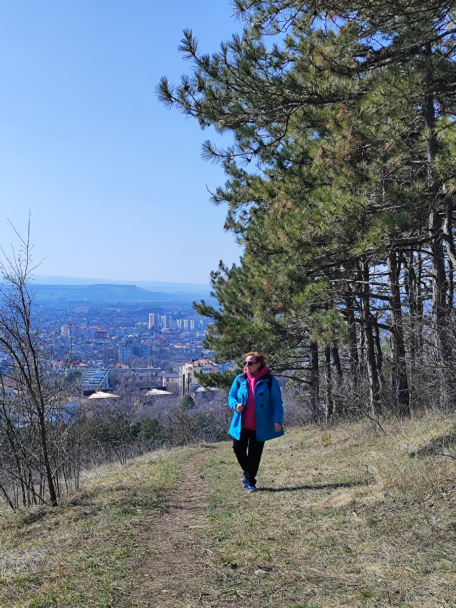 Хвойная опушка на Машуке (март 2026 года)