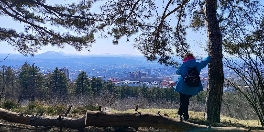 Где искать крокусы на Машуке?