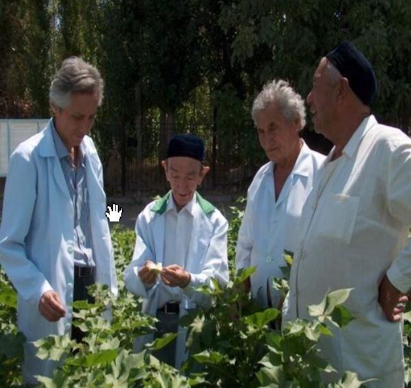    В 1992 году специальным указом Первого Президента республики И.А.Каримова был создан Институт генетики, который входил в состав Академии наук Республики Узбекистан. Жура Мусаев занял должность научно-творческого советника директора. Под его руководством было создано три научно-практические лаборатории, также он возглавил Отдел генетики растений.