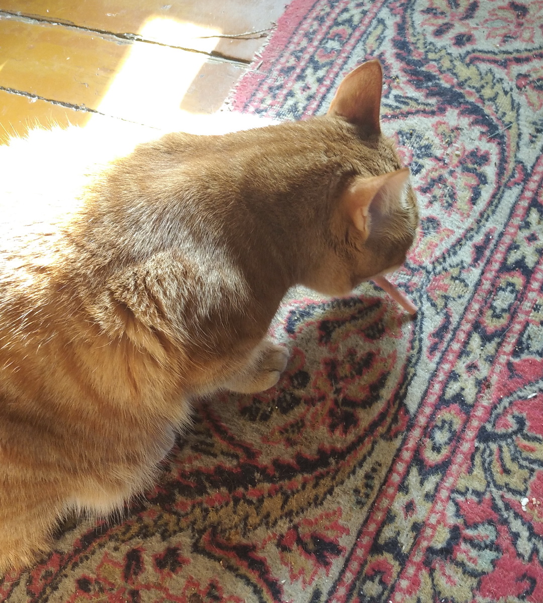 личное фото