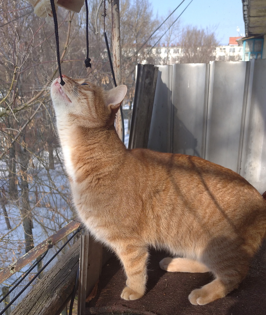 личное фото