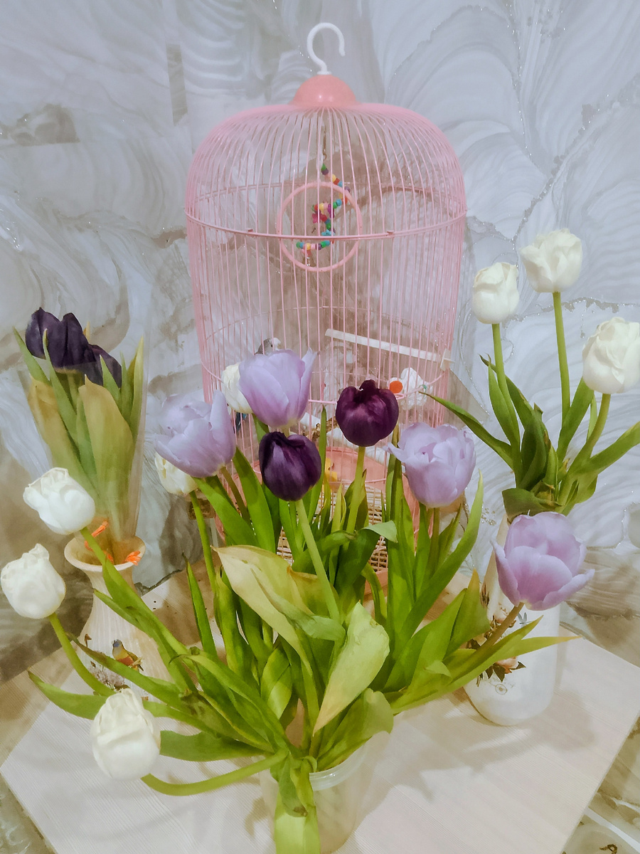 Кеша в тюльпанах