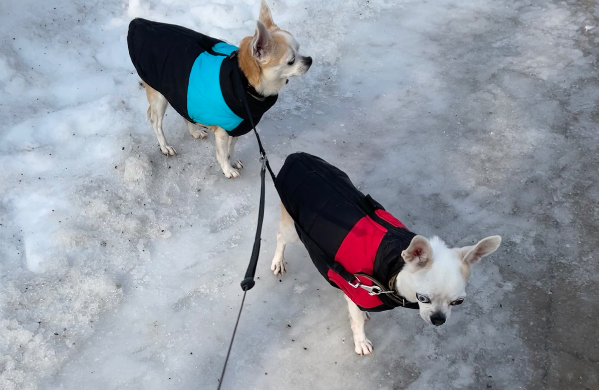 Перешли на весеннюю одежду