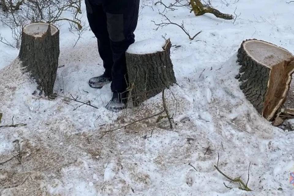    Фото: ГУ МВД России по Волгоградской области