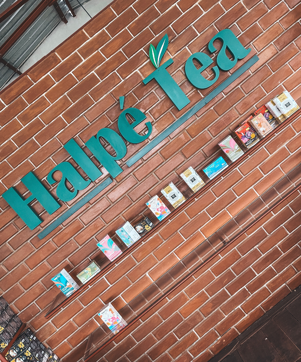 Фото автора. Чайная плантация Halpe Tea