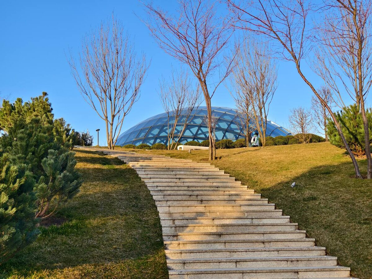 Фотографии: Анастасия Шефер