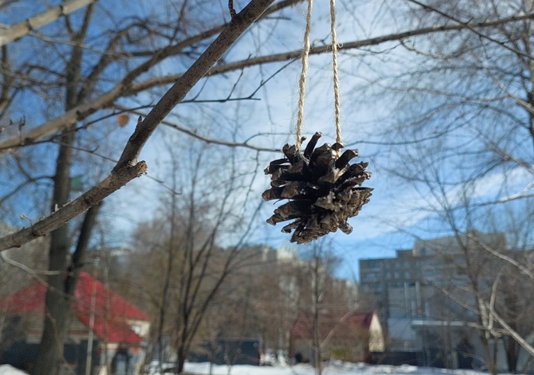 Идти по следам Весны...