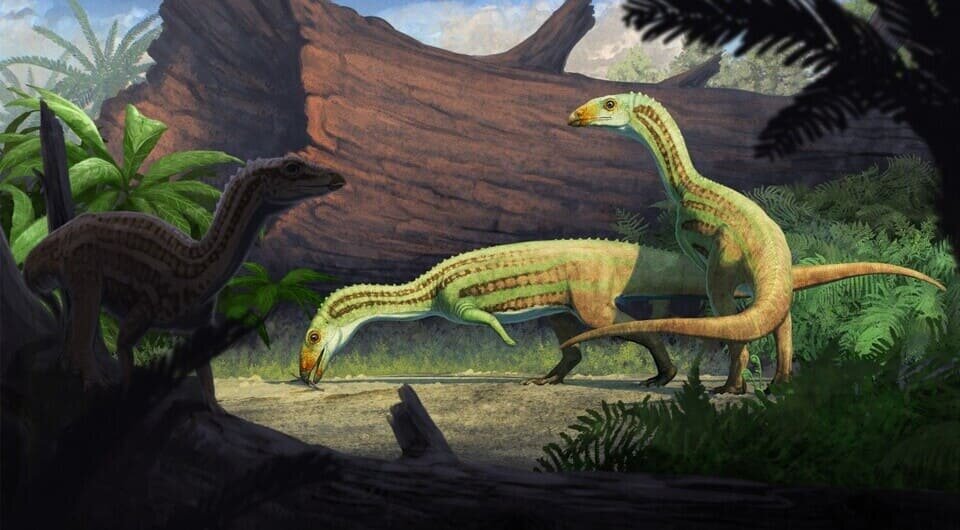   Gabriel Ugueto / Elliott Armour Smith and Christian A. Sidor / Journal of Vertebrate Paleontology, 2026