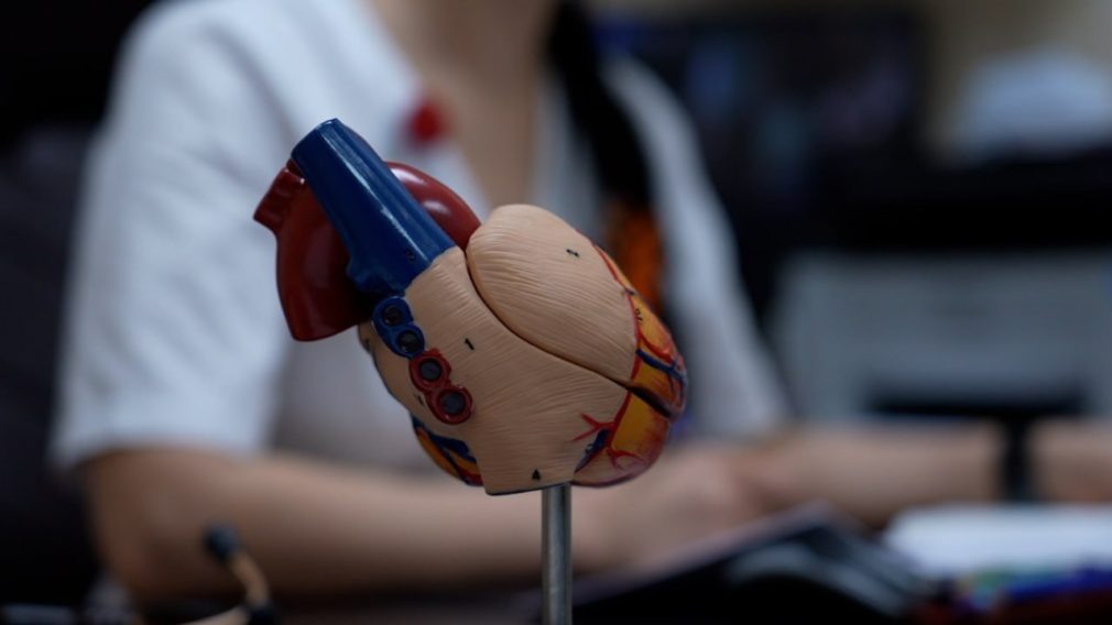    Фото: СвоёТВ Сергей Иванов