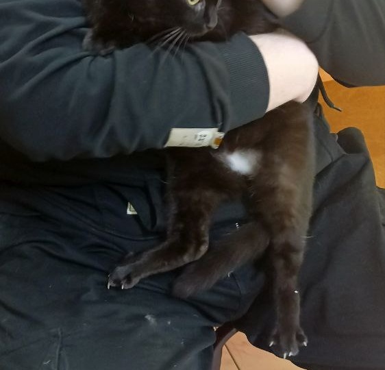 Радость и беда идут рядом. И сегодня именно так.