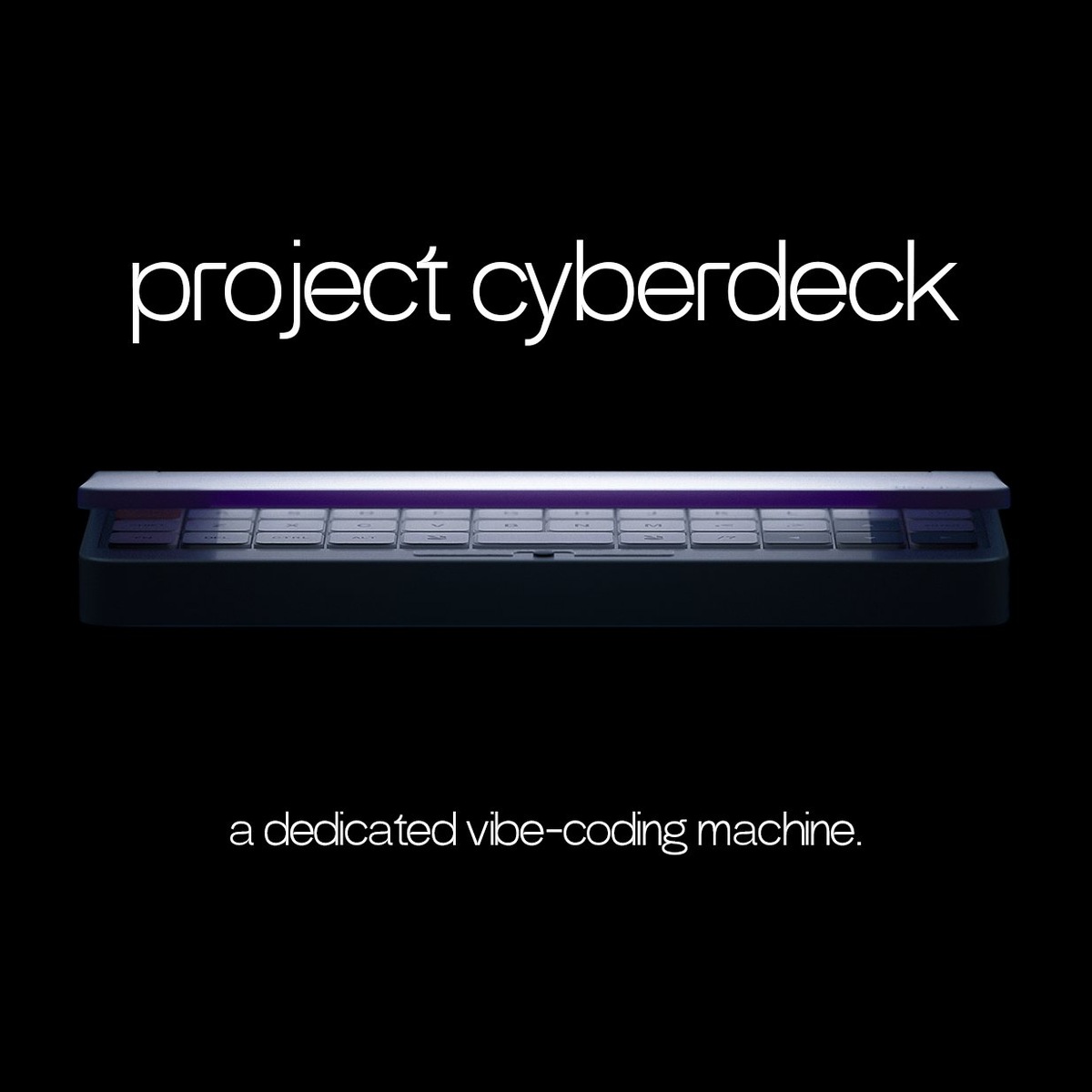 Фото X (Rabbit)  📷
