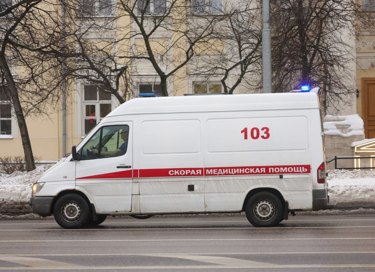     / Источник: © Global Look Press