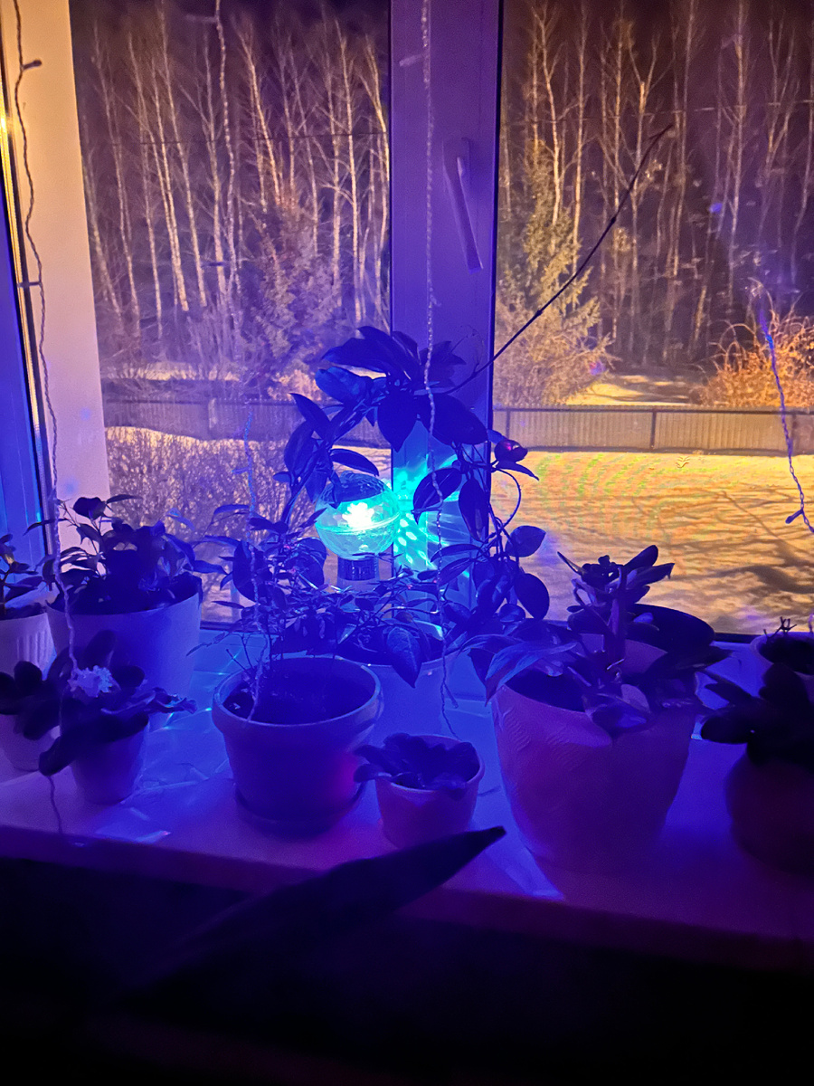 Фото автора