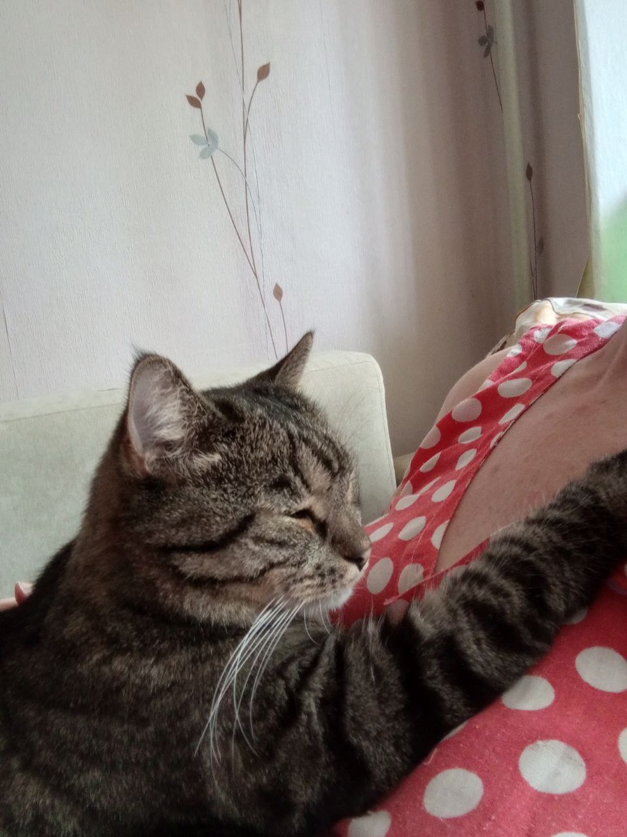 В настроении)