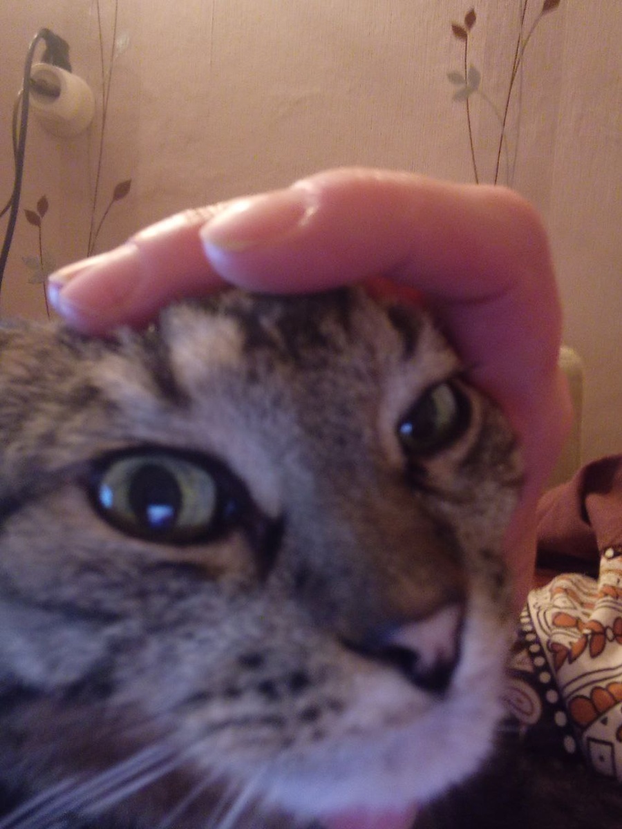 Достала, похоже!!!)