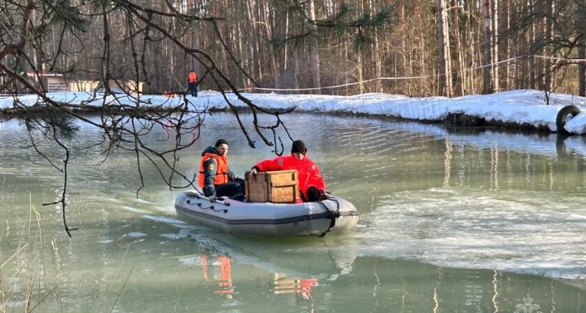    Фото: МЧС России
