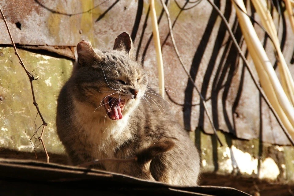    Выходные в Москве обещают потепление: как сильно прогреется воздух в столице Светлана МАКОВЕЕВА