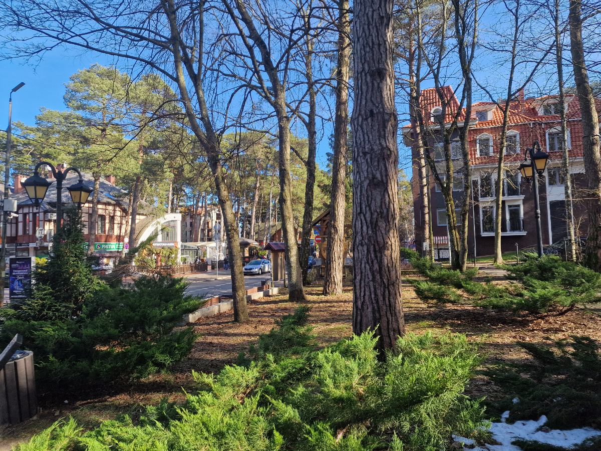 фото автора: еще Светлогорск..Прекрасный хвойный воздух