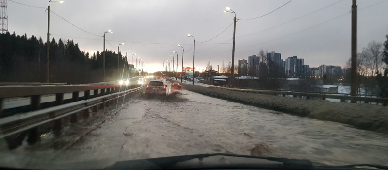    Ирина Меркова