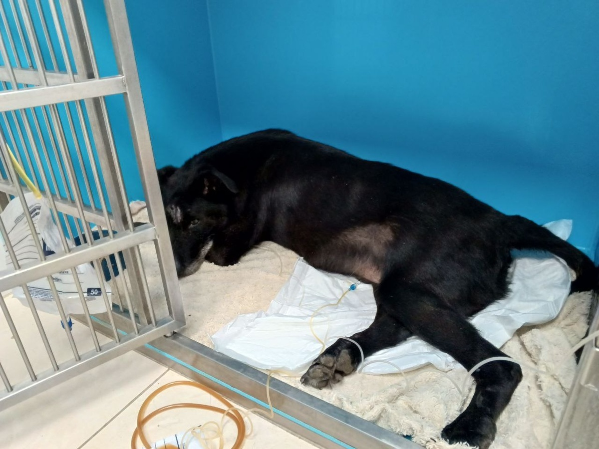 Бонди в клинике 