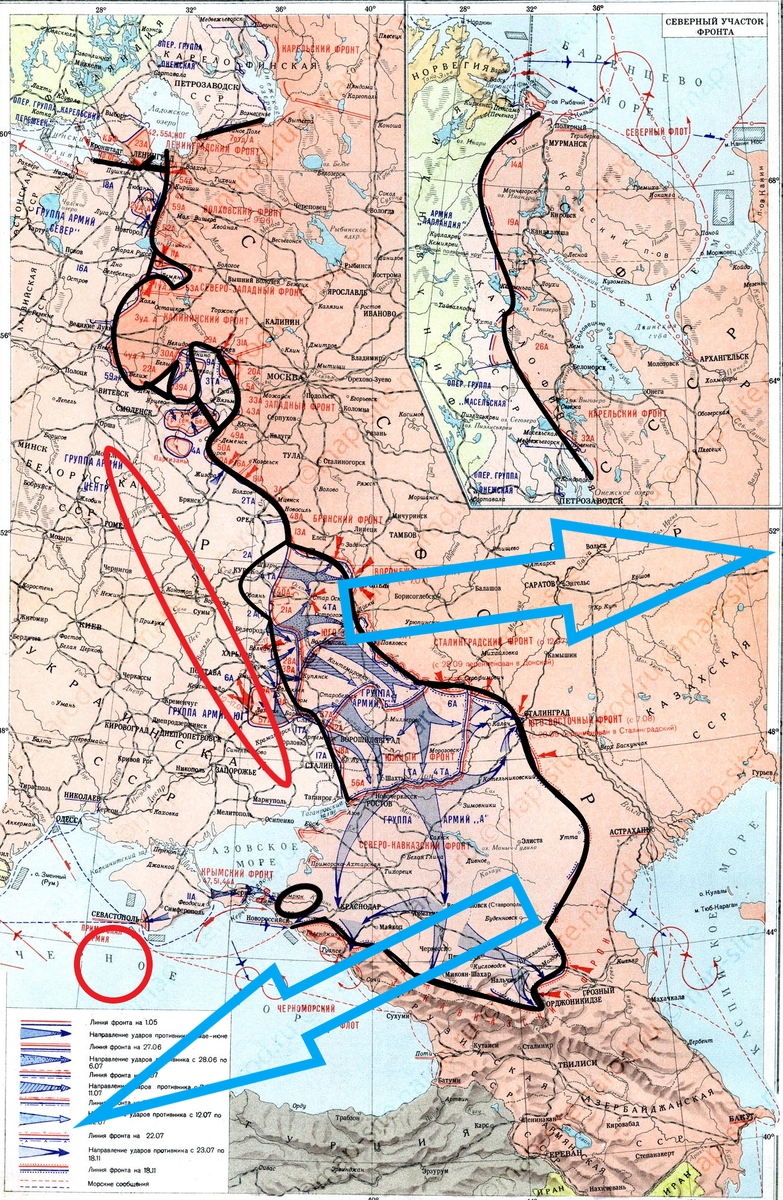 (Фото взято из открытых источников).