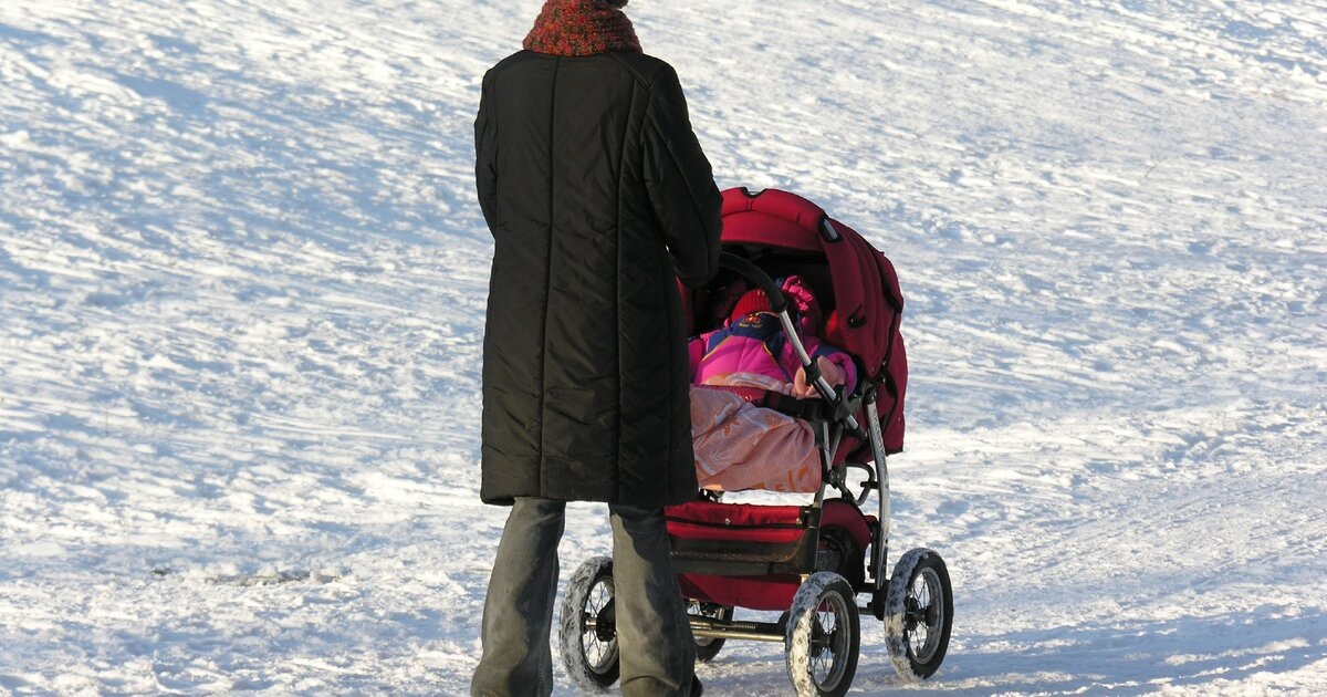 фото из открытого интернет источника. 