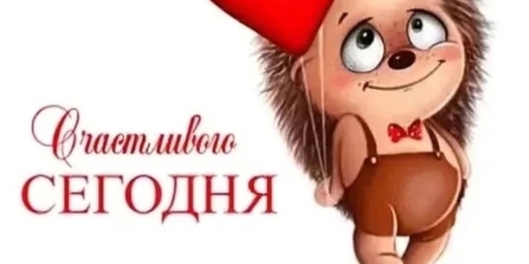 Про ежиков...