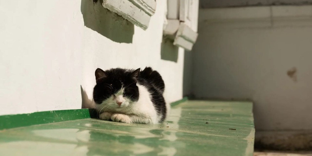 Прогноз погоды просит нас не питать иллюзий, но приятный плюс на термометрах дарит надежду на скорые прогулки среди аллей Ясной Поляны