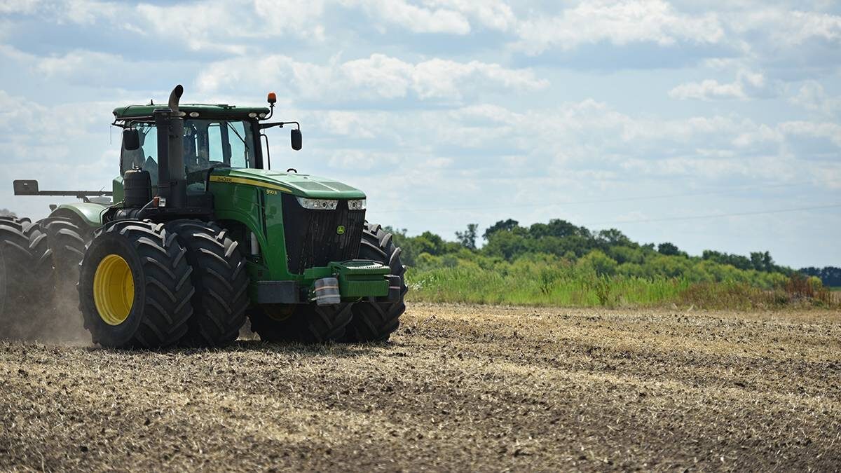    Фото: Shutterstock