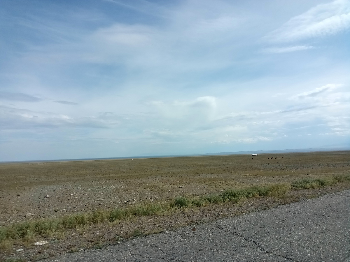 Местный движ