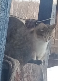 Я с Маруськой на крыльце 