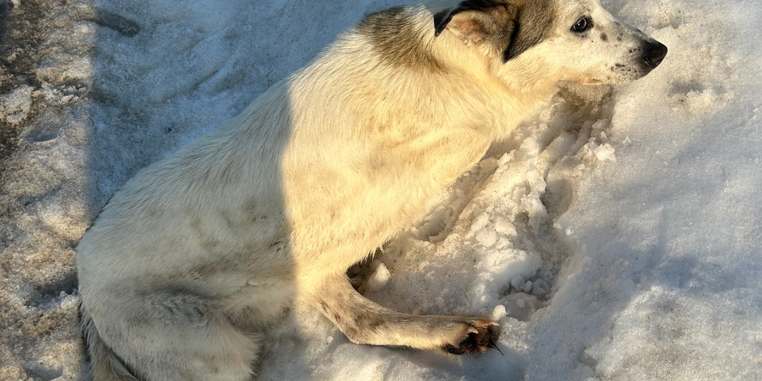 В диапазоне между отчаянием и надеждой - вот что описывает наш каждый день.