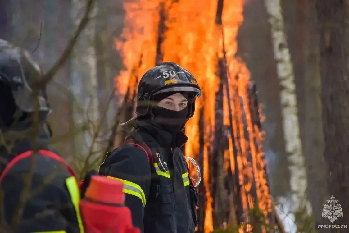    Фото: пресс-служба МЧС Петербурга