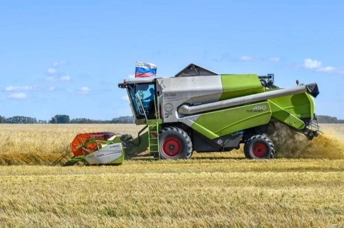    Из Калининградской области экспортировали более 60 тысяч тонн зерна