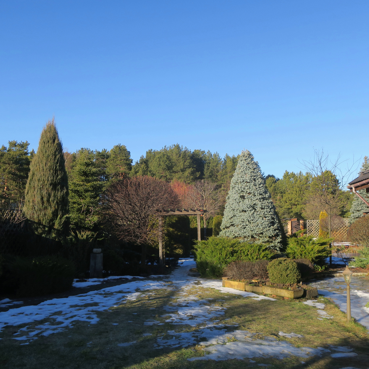 Вид на сад, январь 2025