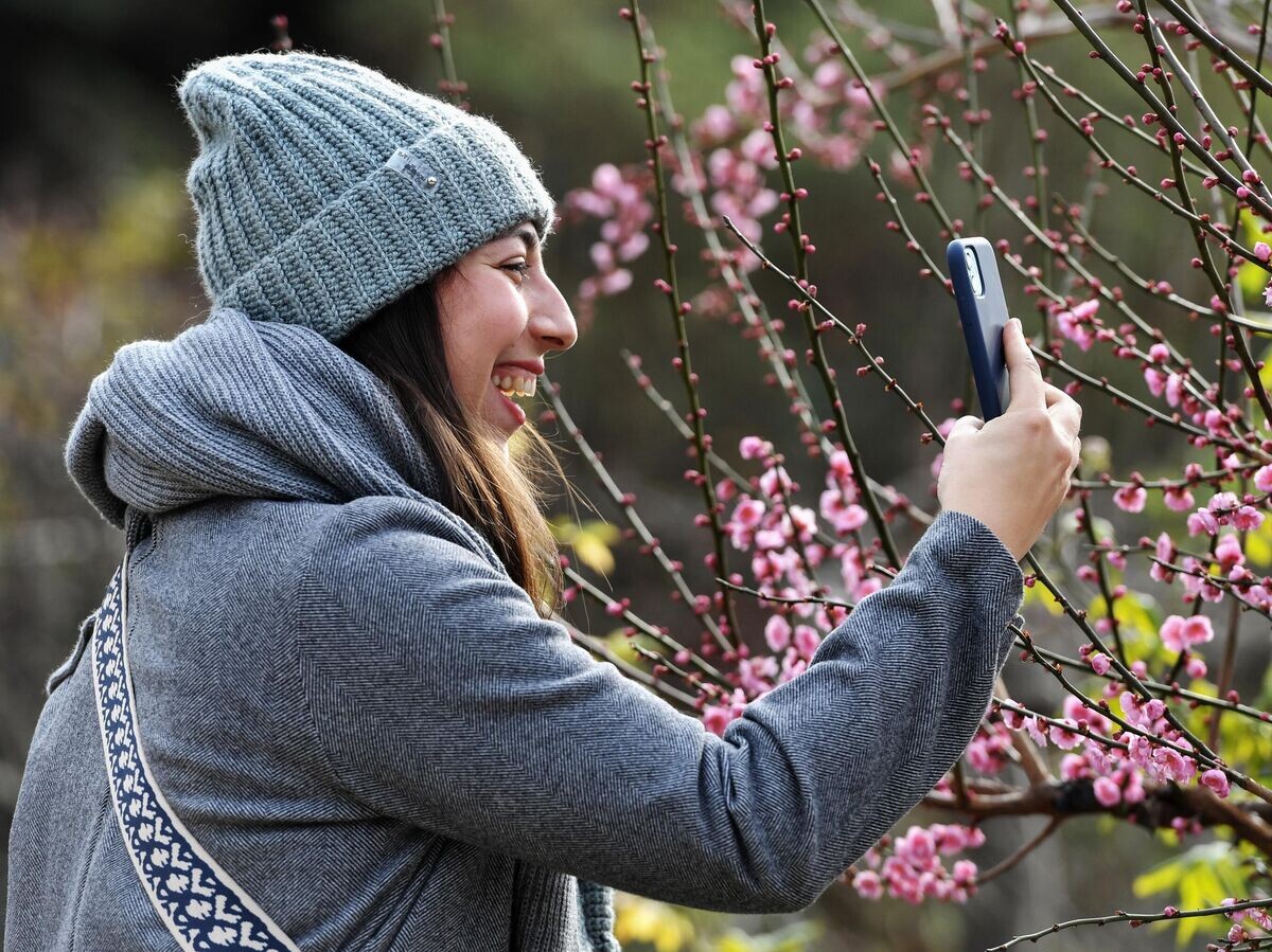    Девушка фотографирует цветы миндаля на мобильный телефон в Никитском ботаническом саду в Ялте© РИА Новости . Константин Михальчевский