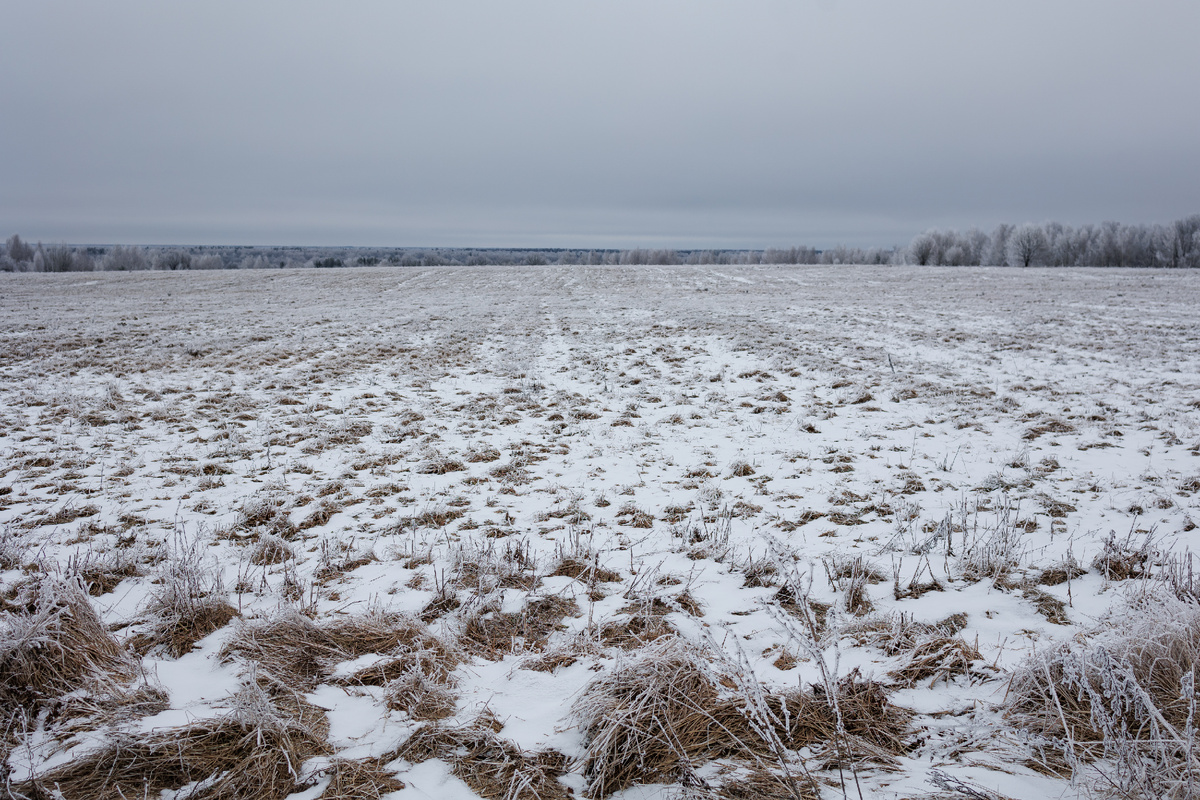 Вот столько снега было на поле в центральной части России во Владимирской области...