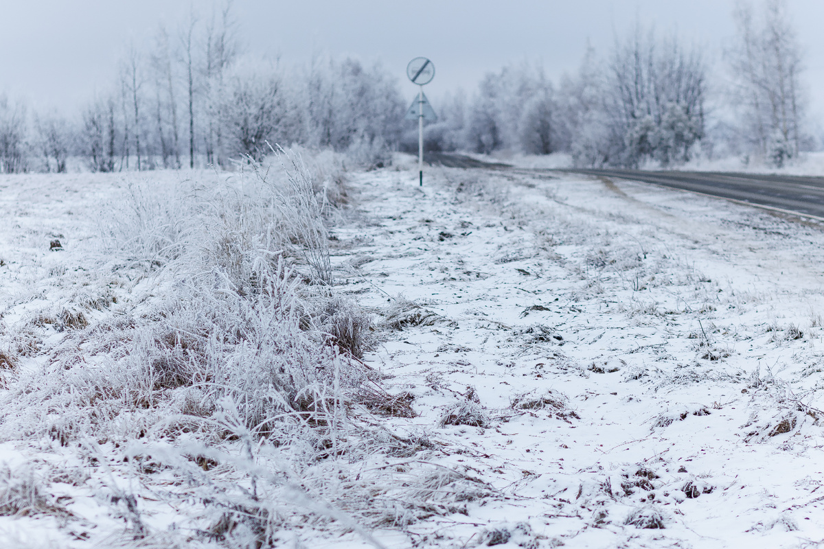 Можно сказать, что почти не было снега