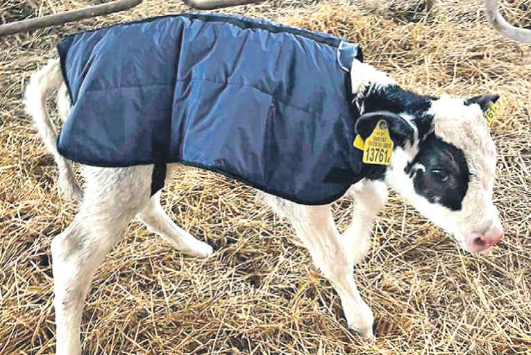 Малышу также нужны внимание и ласка. Фото: БелТА