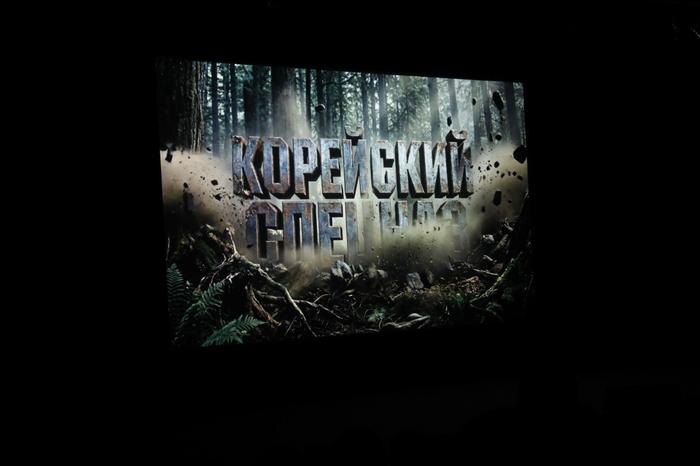 В Музее Победы рассказали о подвиге корейского спецназа. Фото © Life.ru