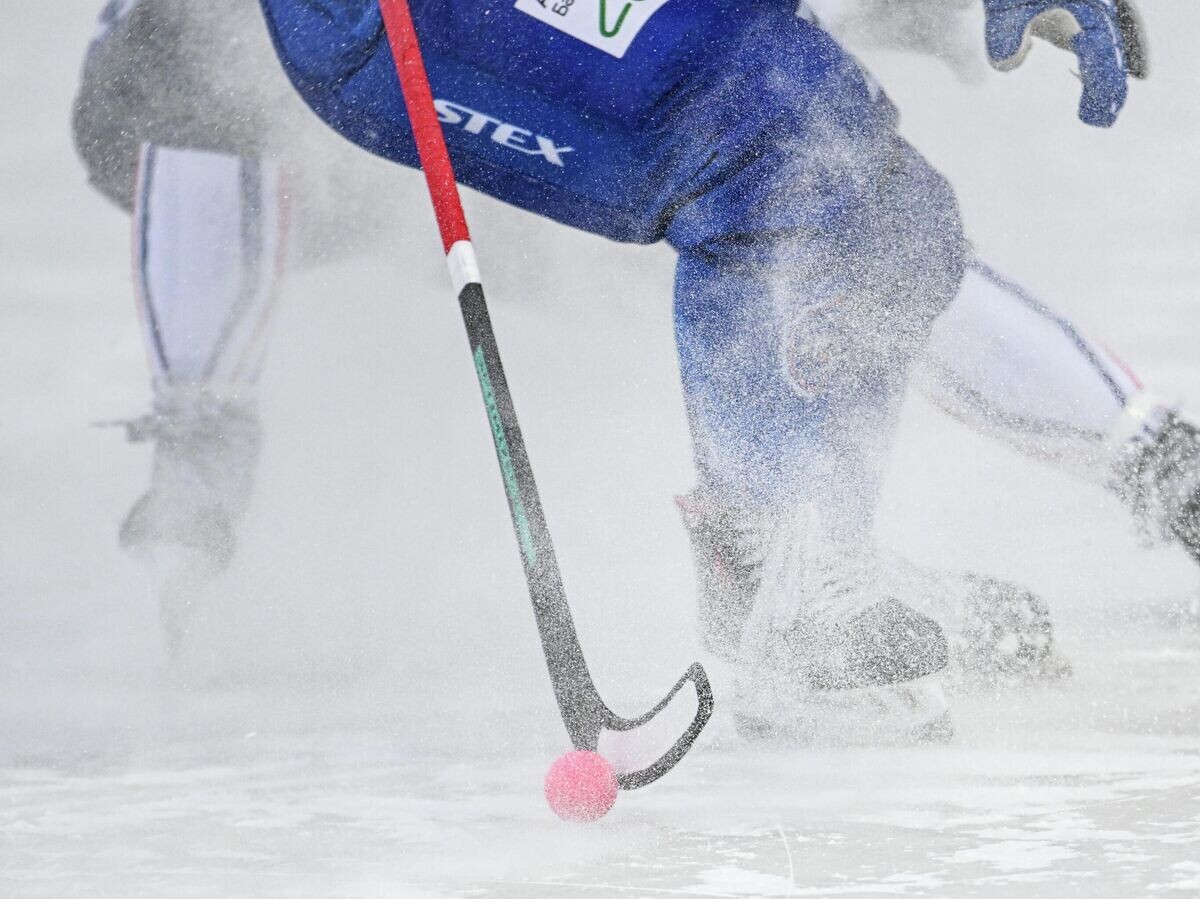    Хоккей с мячом | © РИА Новости / Максим Богодвид