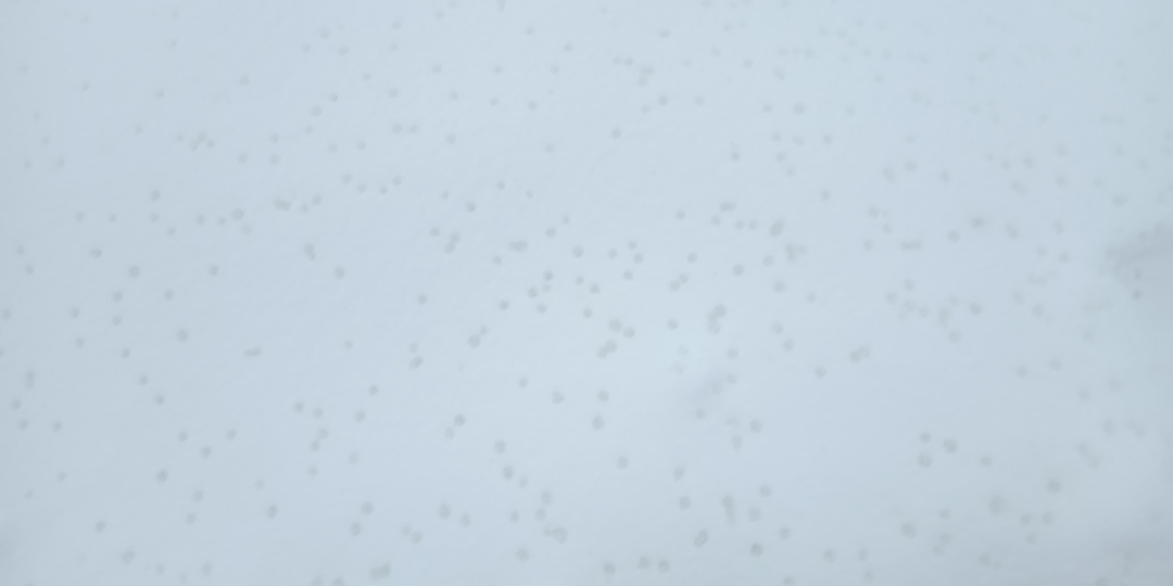 12 марта 2026 года. Четверг. Весна не за горами, или Своим чередом