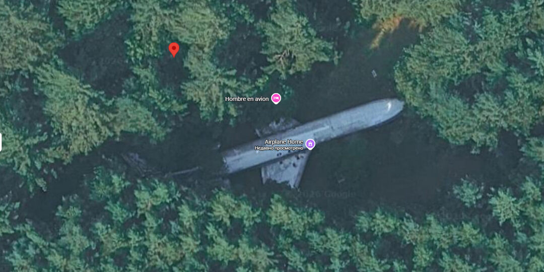 Самолет в лесу...