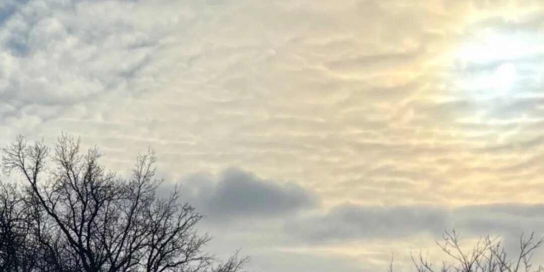 В Калининградской области в пятницу ожидается потепление до плюс 16