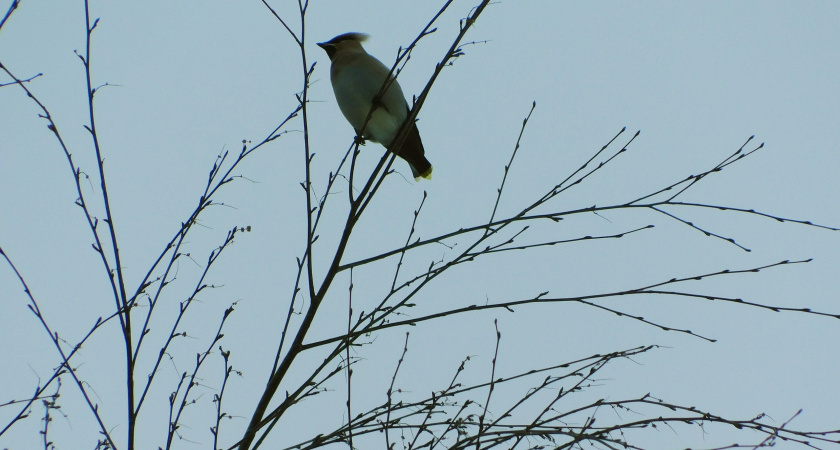    Фотоархив редакции
