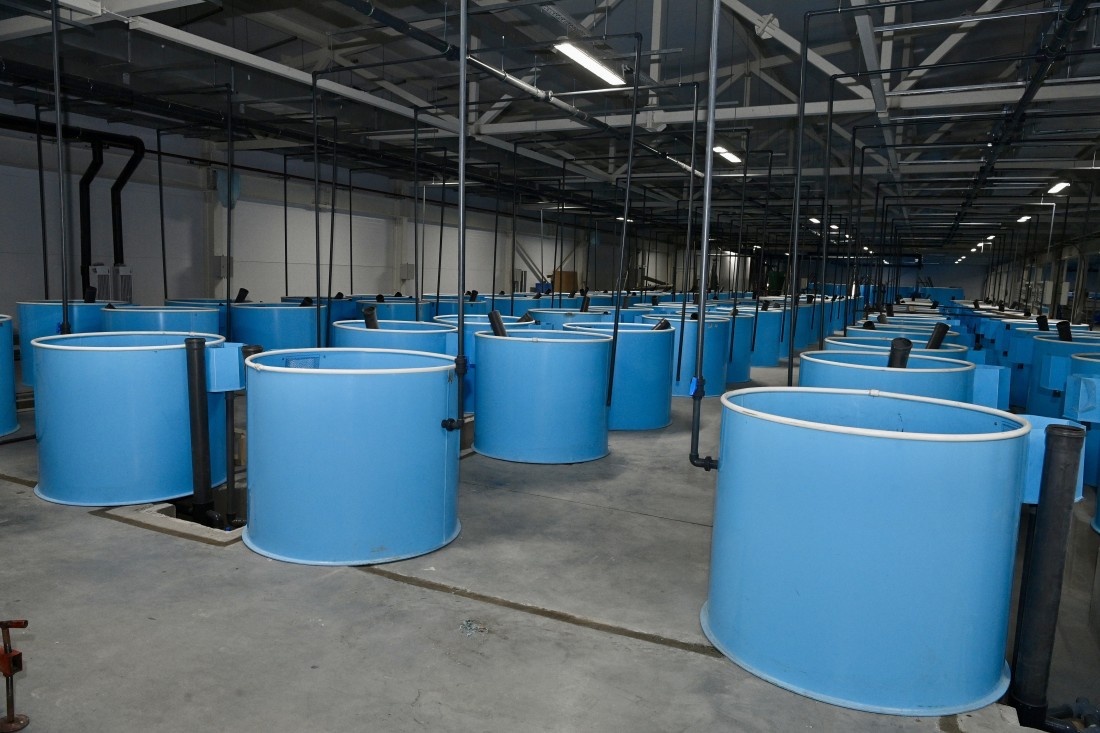 Фото: пресс-служба правительства Республики Карелии. Источник: gov10.ru