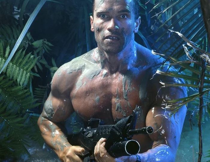 Шварценеггер снова в деле: три культовые франшизы ждут возвращения — но чего бояться?